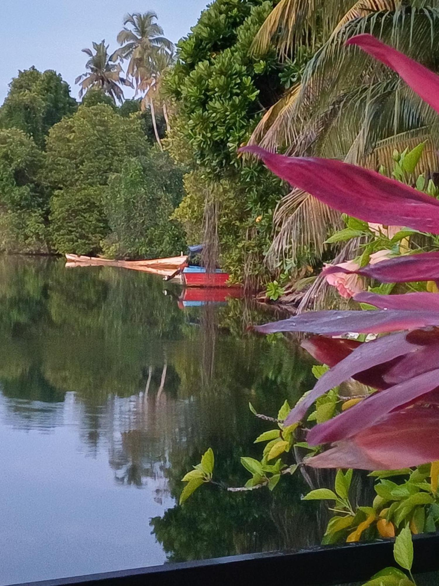 Villa River View Aluthgama Dış mekan fotoğraf