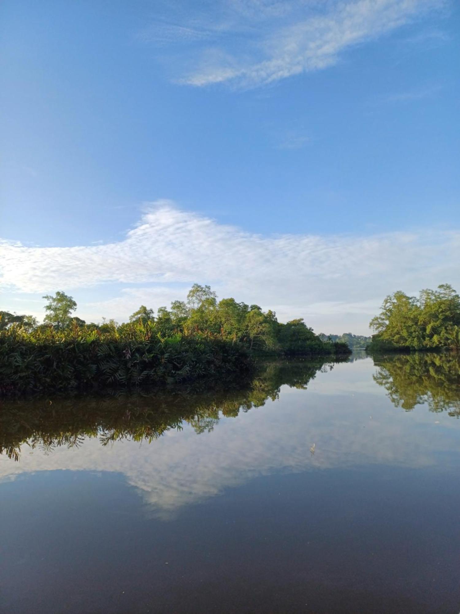Villa River View Aluthgama Dış mekan fotoğraf